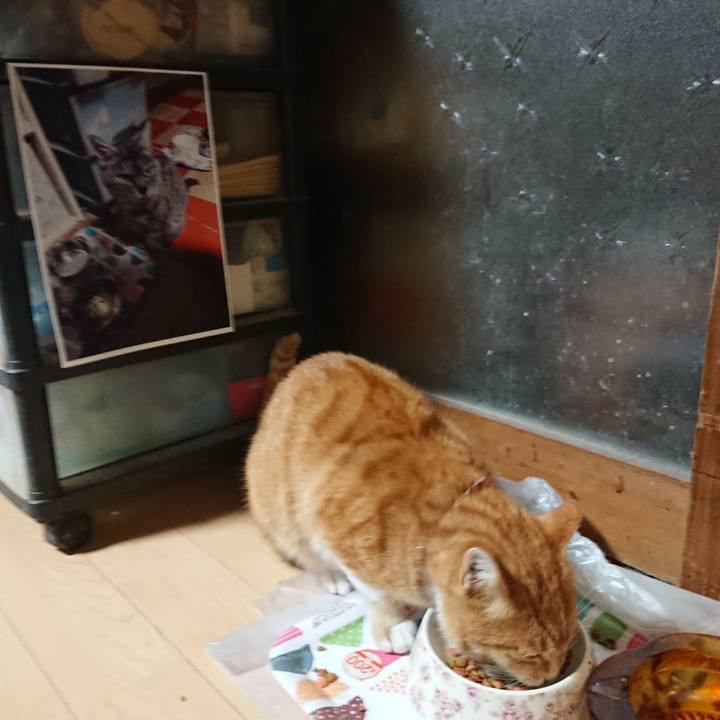 C8c2b0e6 b8da 4793 8658 1de83d117c47 1603568495182