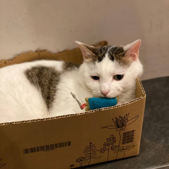 C8c2d108 5a5f 4208 a271 bfc941aa02fa 1593867370129