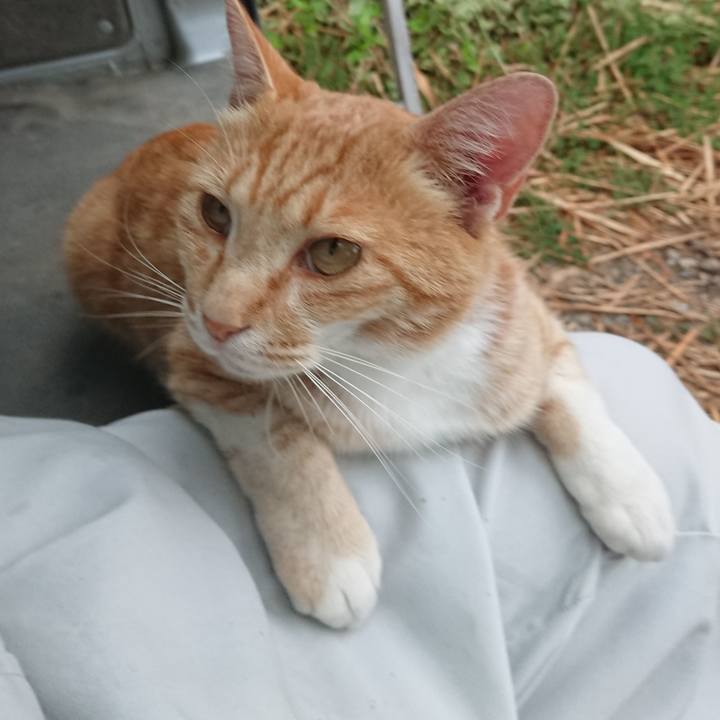 C8c2d479 dcd8 4b8f 814f 2c66625114fe 1593509038691