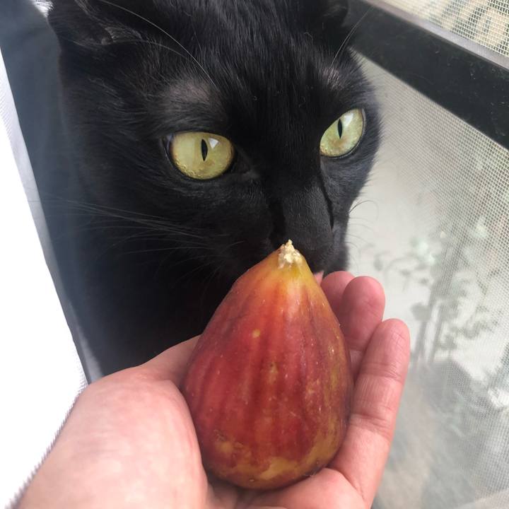 C8c2f1e7 5ccd 408c 9da1 245c6c421289 1568607257481