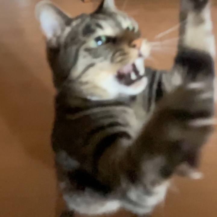 C8c30fa5 de46 48ab b9a8 4b5824d06b7e 1626944753950