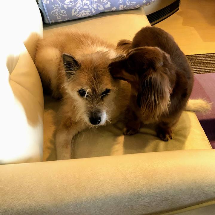 C8c341c8 4b48 44fc b978 8f4b7596f97b 1572152974848