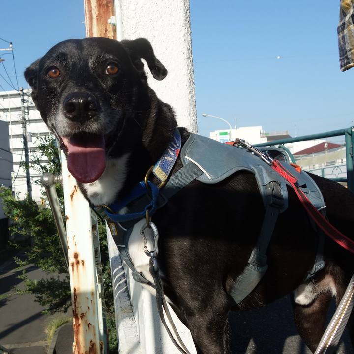 C8c37895 b6d5 42bb 8268 557bc449e305 1726011568147