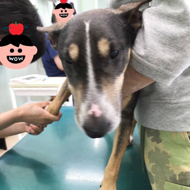 C8c39273 1475 4ca7 a752 370ffb885f9e 1527390428373