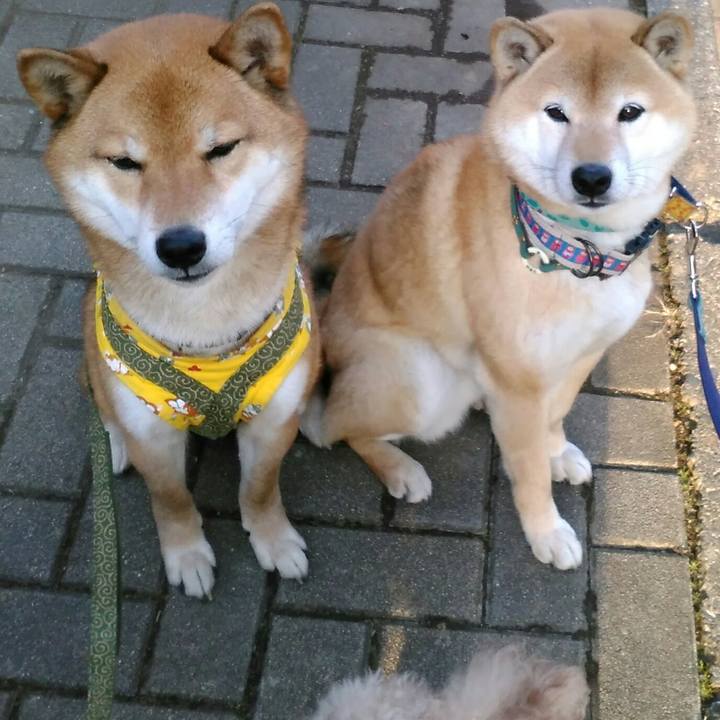 C8c3a8b5 bd5e 4893 aa53 1ae48611730e 1518173084658