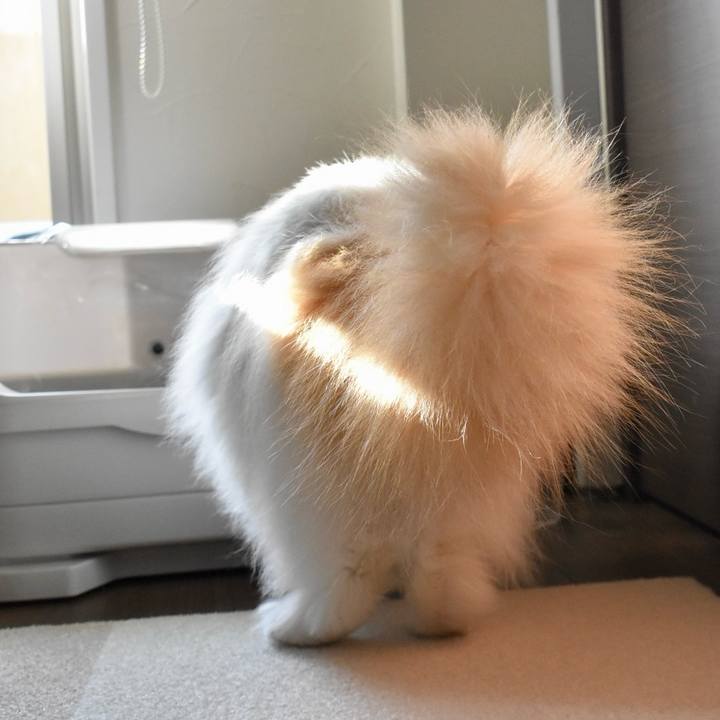 C8c3b446 9b63 47ed bb26 80c2bf4d1274 1770431207745