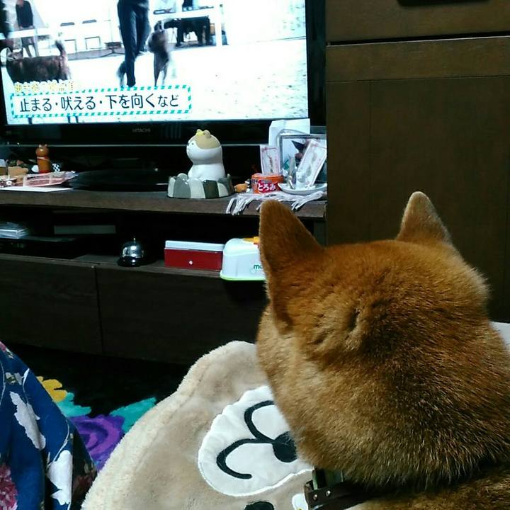 C8c3baa3 1a59 4619 91d5 b93bb64312d0 1557483231064