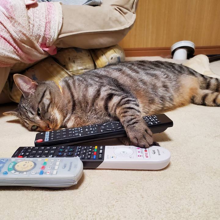 C8c3c536 19f4 4660 8998 8363a4e9a4ee 1699458149065