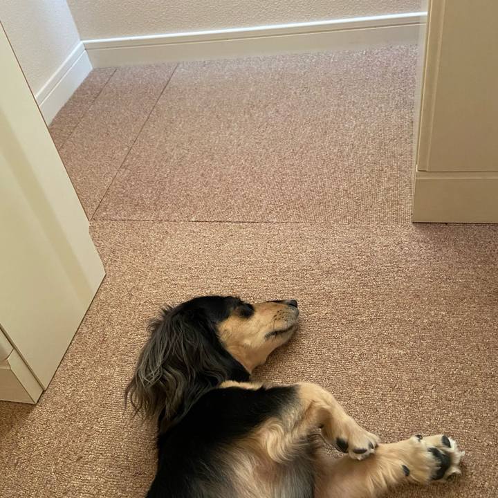 C8c3ddba 3a68 47cd a63f ff9edd617799 1697155925396