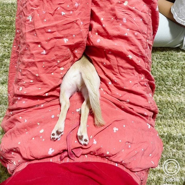 C8c3fb2e b97c 4da3 9f2c 196ef585430e 1593521105320