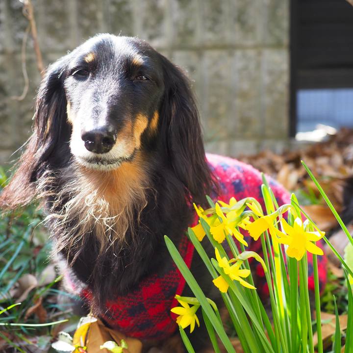 C8c408e1 d596 4c70 b0bb 28ab002ebce7 1710379142899