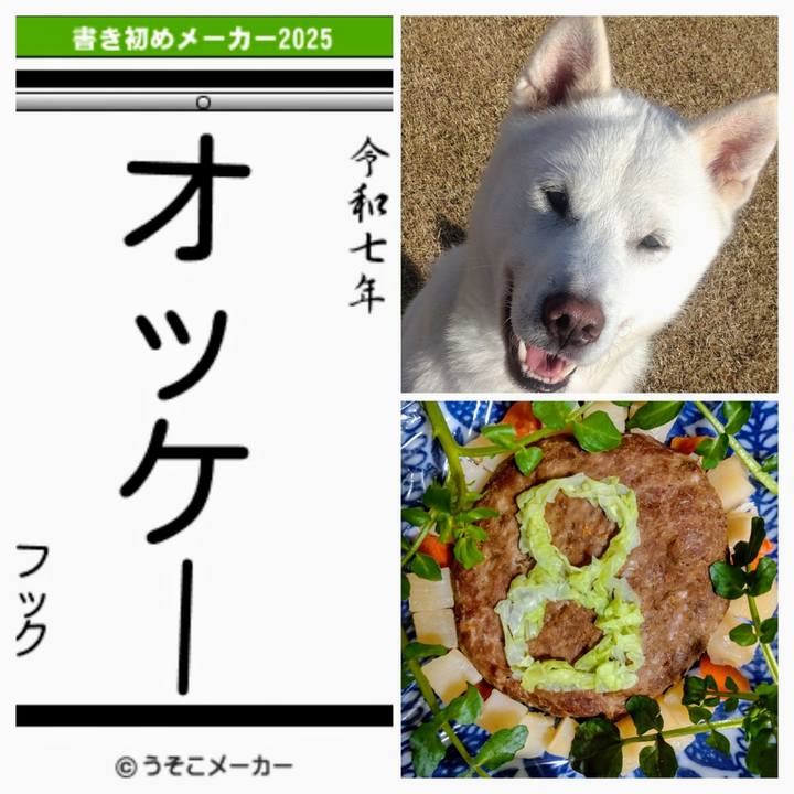 C8c41c1b b6b8 4d6f bdb2 3361b3acff47 1736049314974