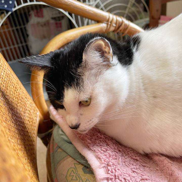 C8c428f0 7cd9 4a97 8c8d ef9fafb08e3e 1768777151805