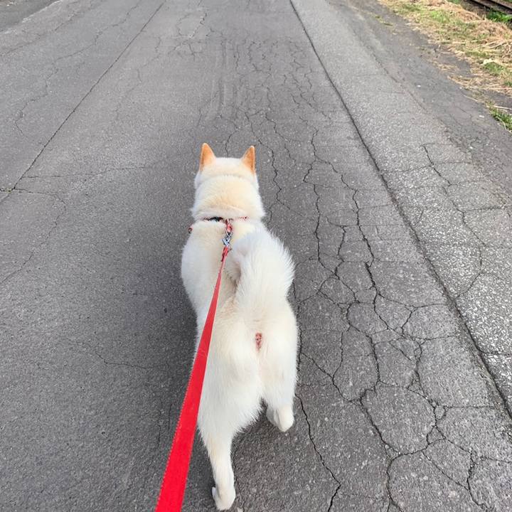 C8c430a1 557d 4e63 ac55 90218bd3a8bc 1560031919818