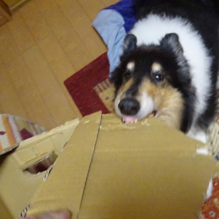 C8c43cd8 7158 4764 bdf1 db53869f446e 1575029697870