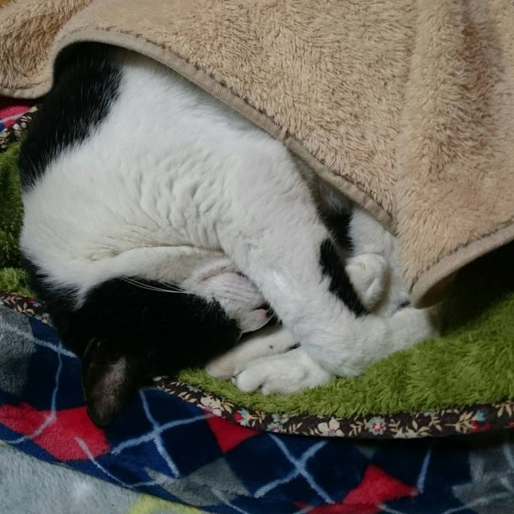 C8c46a5d 9297 49d4 927a 8ff8e8938810 1509174625685