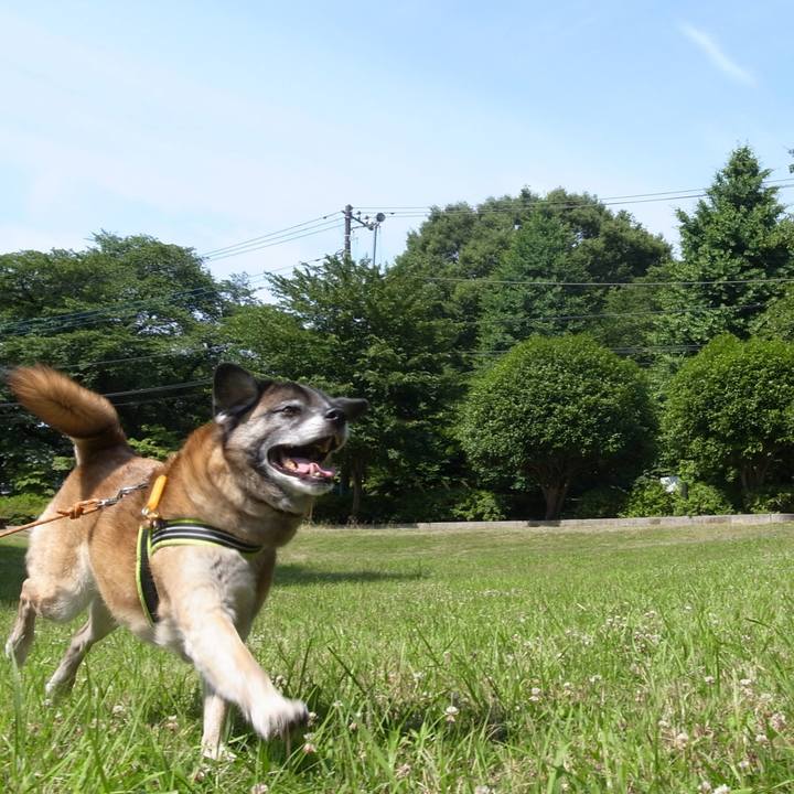 C8c4838b 9542 4b09 accc dccc2a8eabdc 1586735609664