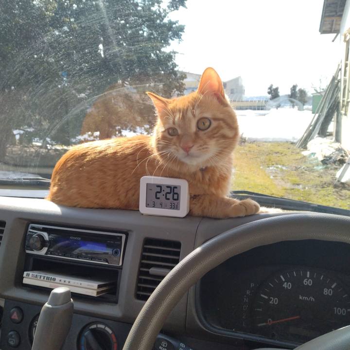 C8c4bb76 584c 4aee adec 6d74ef5324f5 1677910731970