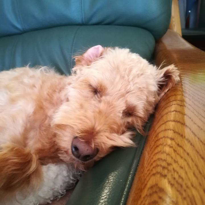 C8c4e4ed fe0e 4868 aef2 9404c42d1a4e 1561269800924