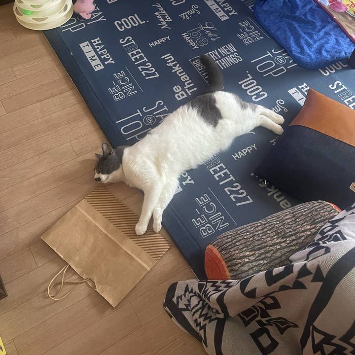 C8c5067e f4b9 4cd0 95ca 8a9fbebfb1af 1691100880214