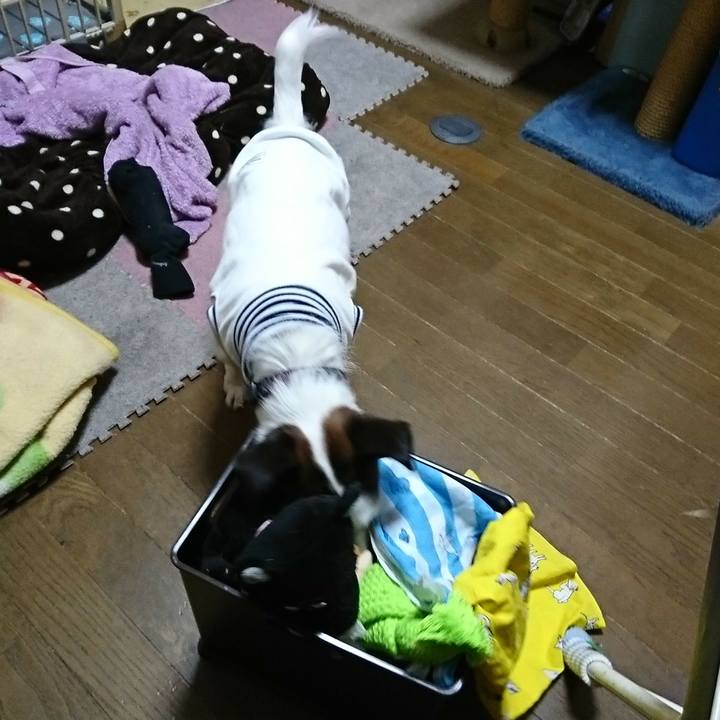 C8c5317e c822 4ce6 a7f0 2b12a1060044 1512997760313