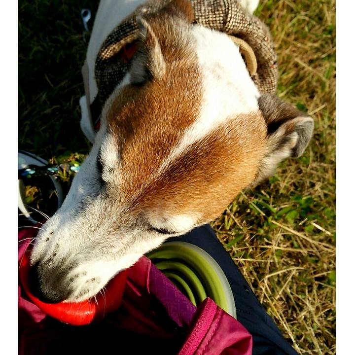 C8c5404e bc04 4608 b48d e5da50810f73 1509860909083