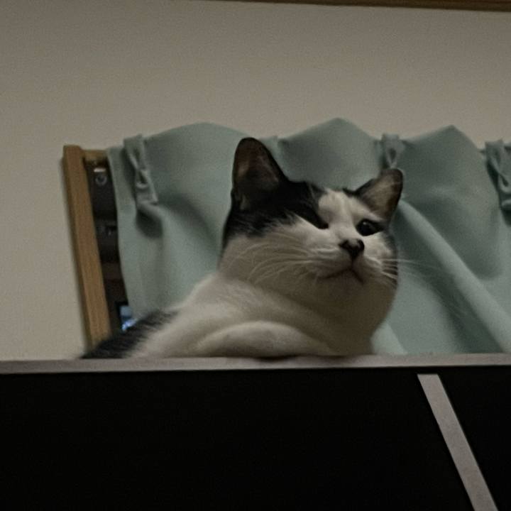 C8c546a1 eede 4fba 9c8e 577465cc828f 1665348501293