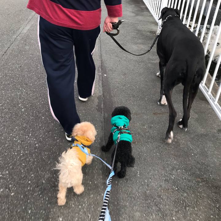 C8c54d06 5125 4ac0 9d98 21882ed537cf 1541890201802