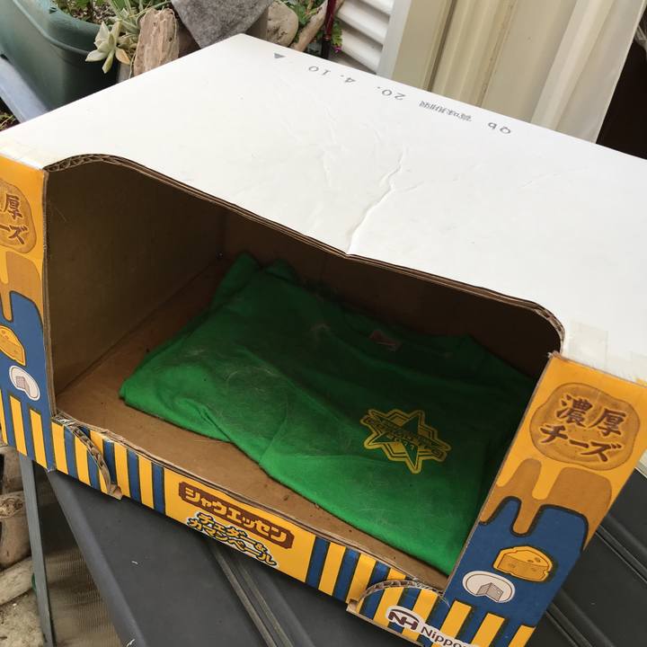 C8c578b0 c314 479c 8589 0253aa1278b4 1591137666056