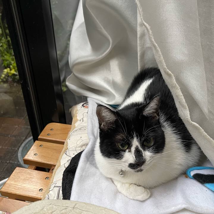 C8c5b3e4 8c63 444d 9628 e249f1184b42 1765684470487