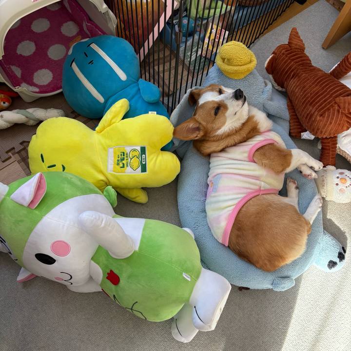 C8c5bb9d 1ee5 484e 8e58 928c0bd13a6f 1767491607044