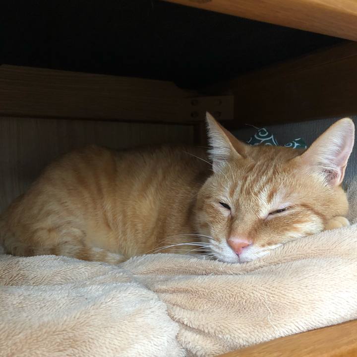 C8c5cf9e ba58 448f 8e7f d4043d4c3308 1577671002182