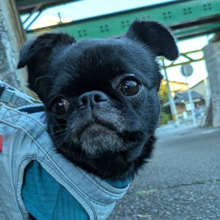 C8c6017b 90f8 4ce7 b458 a2b40a00ba76 1765805391891