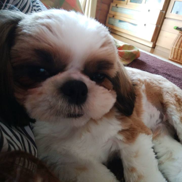 C8c608f9 ac19 4af7 b562 3914b2fcf17c 1540273576417