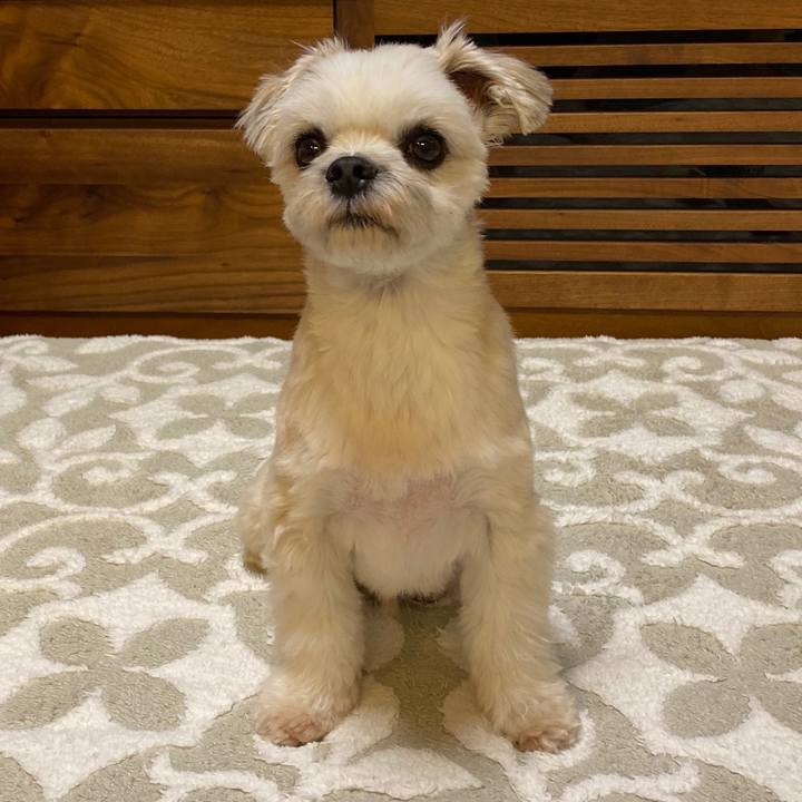 C8c62626 6b74 43df 8538 5494ba7889c2 1572258152447