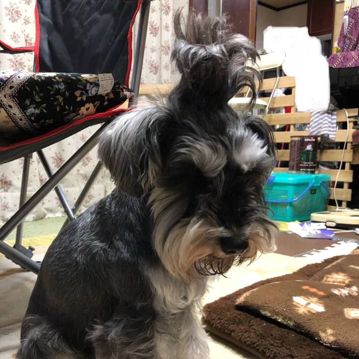 C8c62ae8 28c0 4ba1 8005 d154efb96cb7 1553267705091