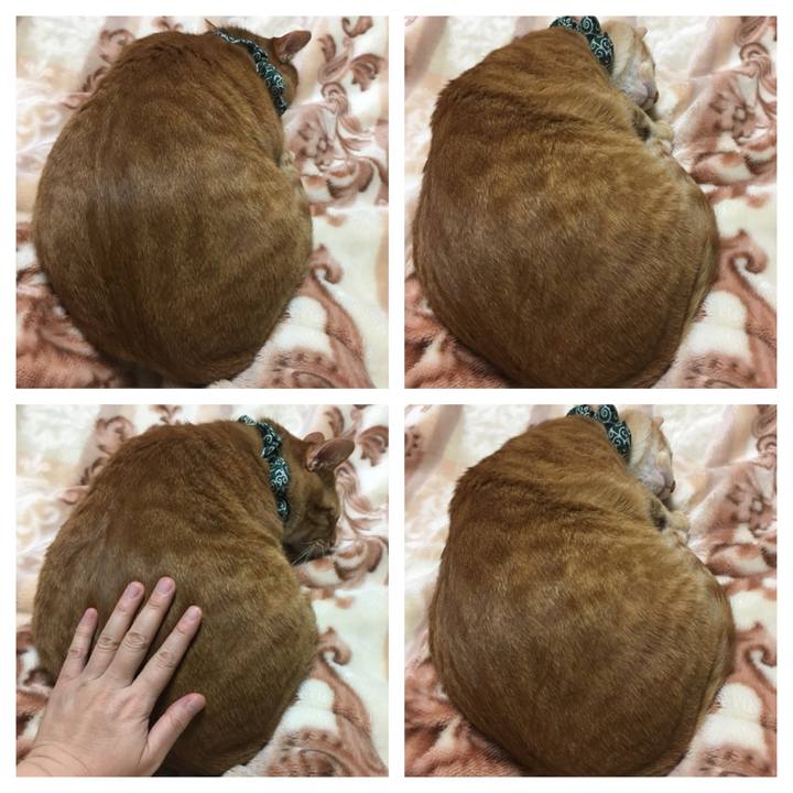 C8c6364d 37fc 4e97 a0e9 a5128b72e070 1550582737145