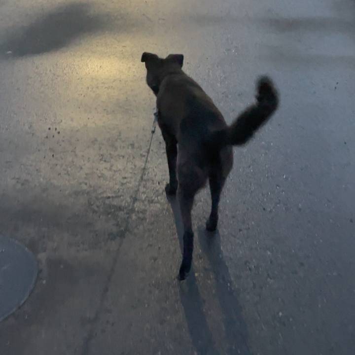 C8c63f1a 86cb 4ec6 ac25 b9a94f2e3491 1689174960987