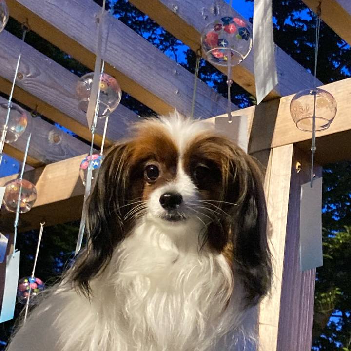 C8c6472d 19c7 4dce 97bb a472914993be 1660436775572