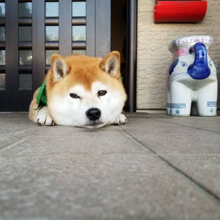 C8c68ab9 b0a1 4793 945b 70d545f5dce0 1556928098124