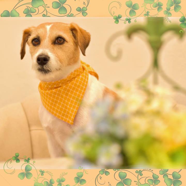 C8c6a045 0e8c 40e8 811f 592a8804a4d9 1614589449970