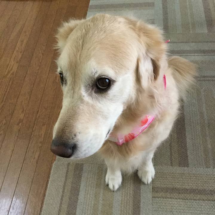 C8c6a194 f387 42e7 9ffa 7548690b1e43 1542684466574