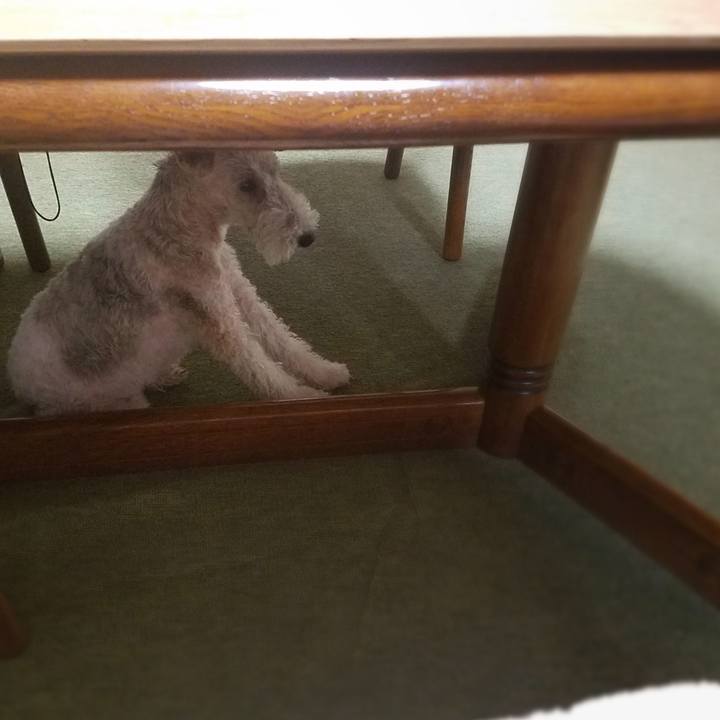 C8c6cfe6 6bc8 4324 b1a5 bde6126f2401 1561030871548