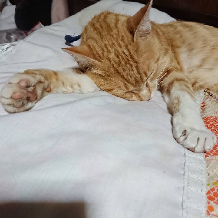 C8c6e18a b13f 4205 b132 bc69e636a858 1562329928796