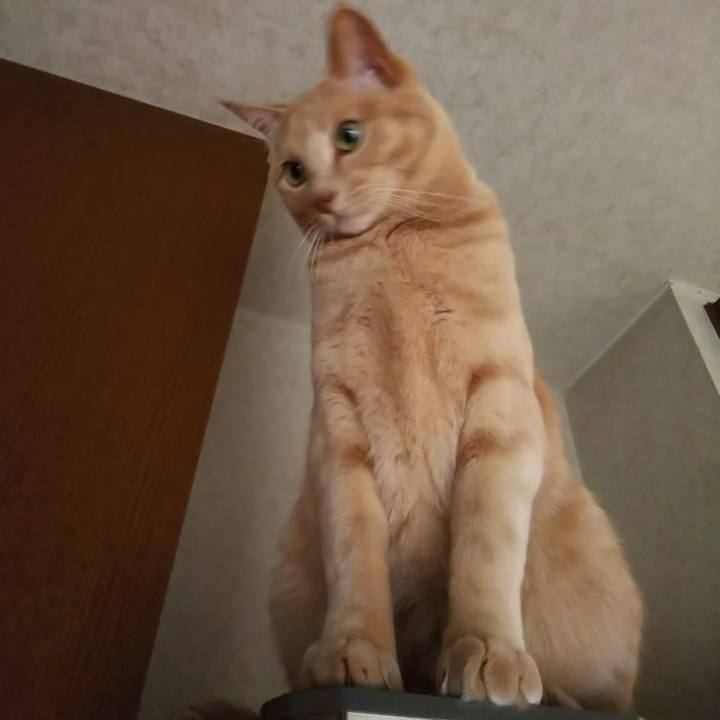 C8c70c56 9c0b 4599 8d6c ed16687c31e8 1663898986836