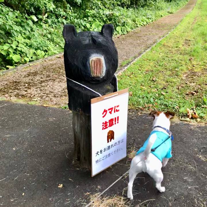 C8c72c55 8fa9 4a3d a824 31cfb7f721f3 1597131374320