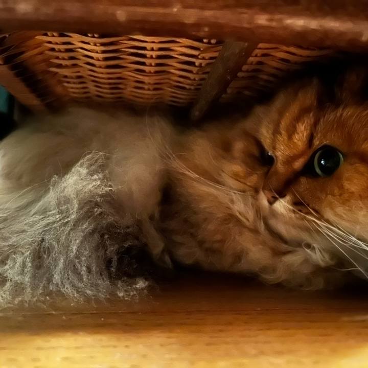 C8c73d35 11a4 472d beab 529445c24f9b 1705142617107