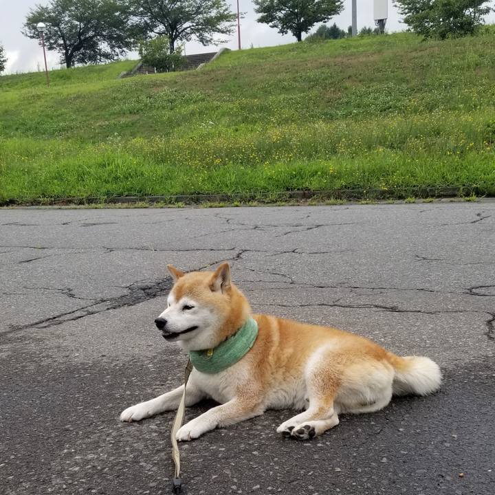 C8c745cb e3d6 4b1a 8aa9 7a994b918c39 1658206155867