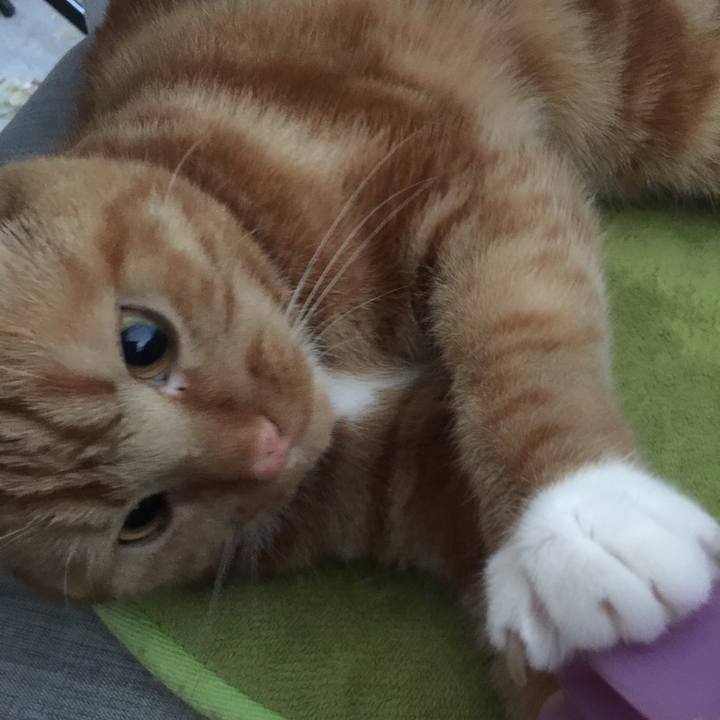 C8c75b47 34b3 434e 9f50 d622691ac540 1560052548059