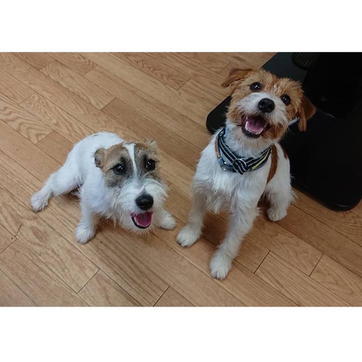 C8c767d4 dfff 47e6 92a5 33f41dc964c7 1572443790329